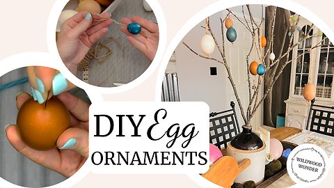 DIY Egg Ornaments