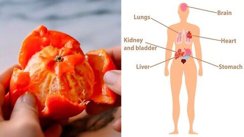 8 Health Benefits of Tangerine Peels (No.7 Shocking You)