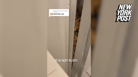 Renter discovers disgusting source of grime and smell in her shower