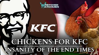 Chickens For KFC: Insanity Of The End Times