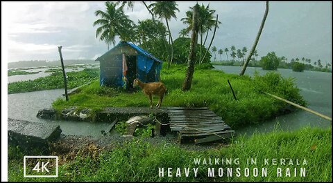 Refreshing walk in heavy rain on the backwaters of Kerala | ASMR rain sounds for deep relaxing sleep