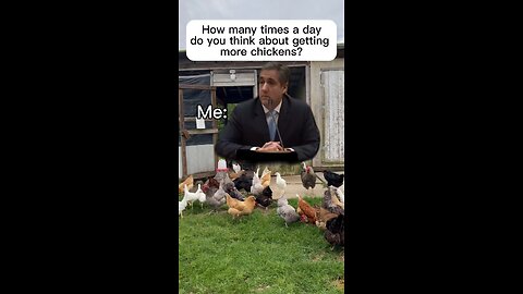 How many chickens is to many? No such number exists. Thats why its called chicken math!