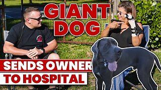 GREAT DANE BREAKS HER ARM... CAN WE FIX IT?!