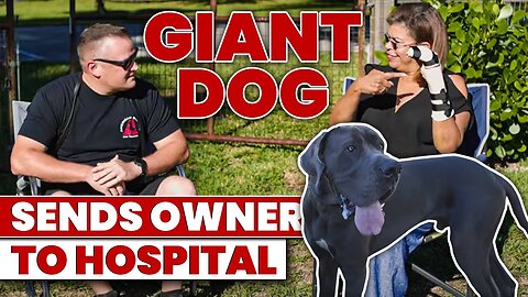 GREAT DANE BREAKS HER ARM... CAN WE FIX IT?!