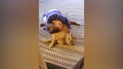 baby and cat fun and cute-funny baby video