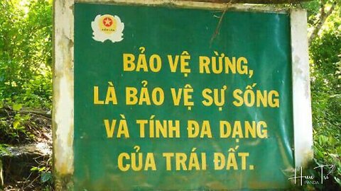 Phản đối phá Rừng Bình Thuận Việt Nam