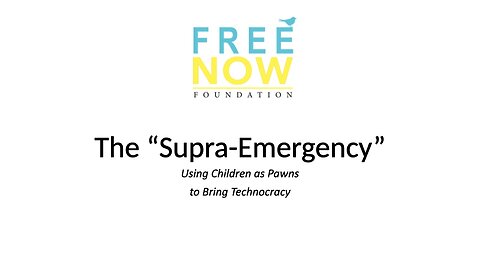 Free Now Foundation - Supra-Emergency by Alix Mayer