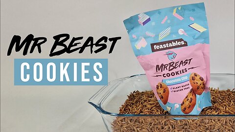 10 000 Mealworms vs. MRBEAST COOKIE