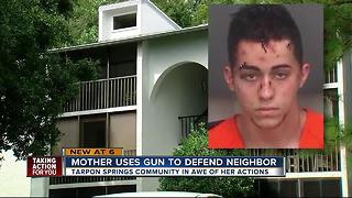 Mother uses gun to defend neighbor