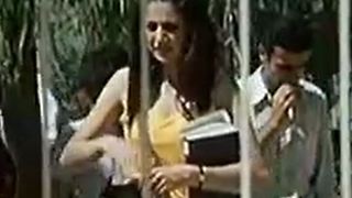 Iranian Parks- Urban Amusement in 1970s