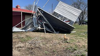 Tornado Hits Texas Horse Rescue