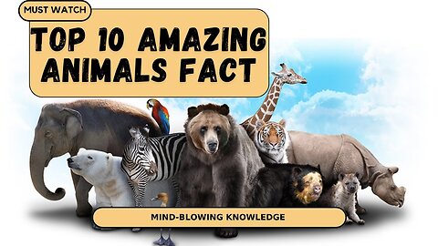 Animal 10 Fact you need to know [little-known].