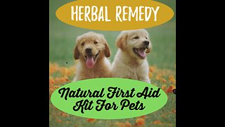 Natural First Aid Kit For Pets