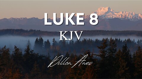 Luke 8 - King James Audio Bible Read By Dillon Awes