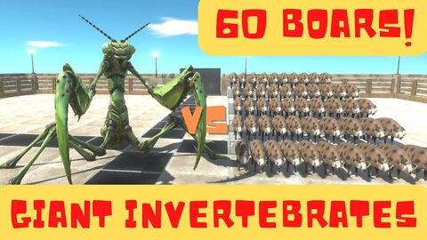 60 Boars vs Giant Invertebrates Units - Animal Revolt Battle Simulator