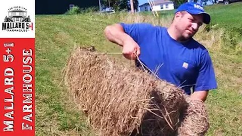 2nd Cut Of Hay DESTROYED By Rain (But We Baled It Anyway)