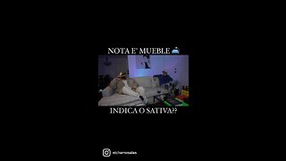 Nota de mueble antisocial podcast