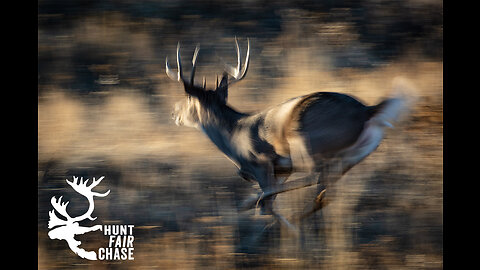 The smart Trick of The Ethics of Hunting: A Guide to Responsible Hunting in America That Nobody...