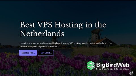 Best VPS Hosting in the Netherlands #vpshosting #bigbirdweb