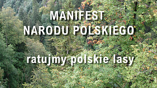 Manifest Narodu Polskiego – ratujmy polskie lasy