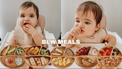 Easy Baby Led Weaning Meals | My Baby's Favorite Foods For Breakfast, Lunch & Dinner
