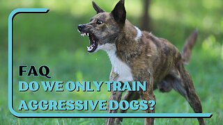 FAQ: Do We Only Train Aggressive Dogs? No, We Train All Dogs, But Our Specialty Is Dog Aggression