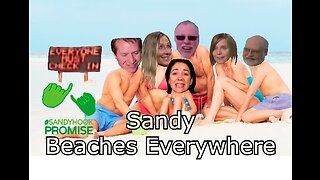 Sandy Beaches Everywhere - with Jim Fetzer