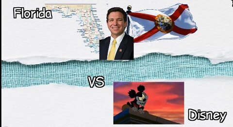 FL vs Disney- FL, Win for FL