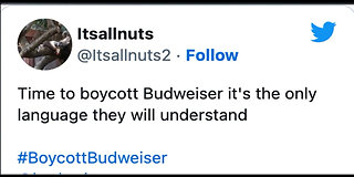 New Poll Shows Majority of Americans SUPPORT Boycott of Bud Light, Get Woke Go BROKE