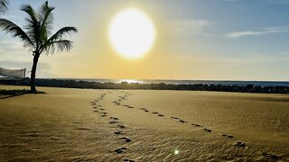 Sosua ~ Dominican Republic ~ Tour of Beaches & Monkey Jungle