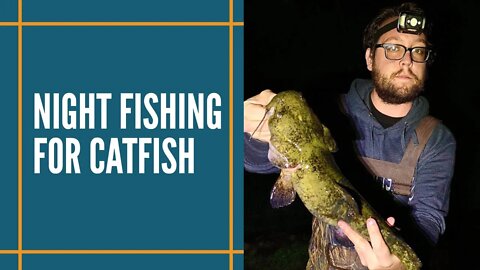 Night Fishing For Catfish / Michigan Catfish Fishing 2020 / Flathead Catfish Fishing