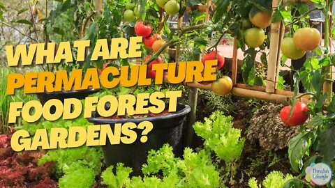 The Complete Guide to Food Forest Gardens #foodforest