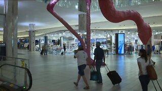 What's new at Tampa International Aiport