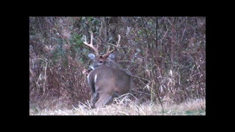 Big Illinois buck puts on a show for challenging buck