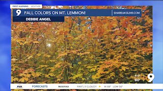Breezy and cooler weather ahead