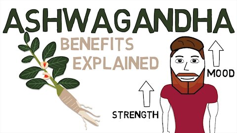 Benefits of Ashwagandha and Stress Management with Magnesium & Ashwagandha