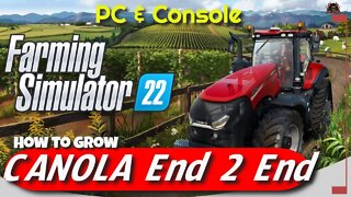 How to Grow Canola End to End // Farming Simulator 22