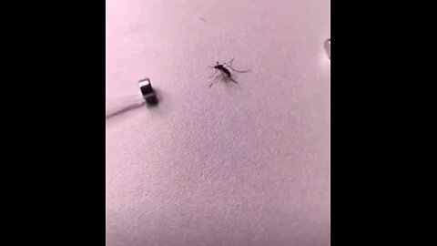 Ninja Technique for Mosquito killing 🤯🤯