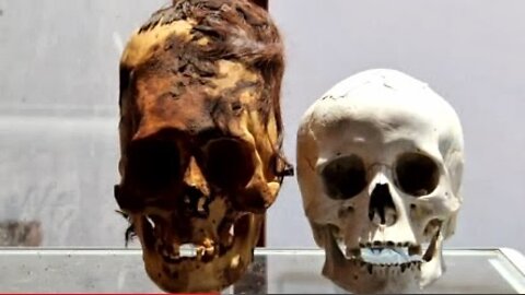 Skulls of the Nephilim
