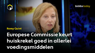 Europese Commissie keurt huiskrekel goed in allerlei voedingsmiddelen - Romy Quint