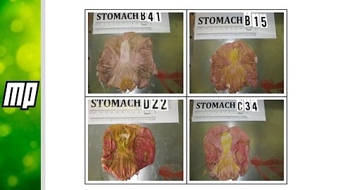 Bad Science in Australian Pig Feed Study