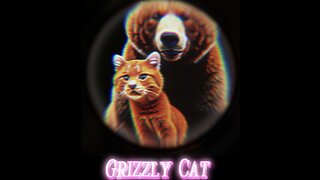 what is Grizzly Cat?