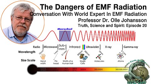 The Dangers of EMF Radiation - Conversation With World Expert In EMF Radiation Professor Dr. Olle Johansson - Truth, Science and Spirit: Episode 20