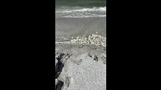 Sea Foam and Beach Erosion Already Occurring Ahead of Hurricane Idalia!