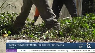 New green growth across San Diego could fuel fire season