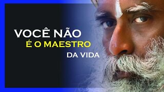 PARE DE QUERER CONTROLAR TUDO, SADHGURU DUBLADO, MOTIVAÇÃO MESTRE