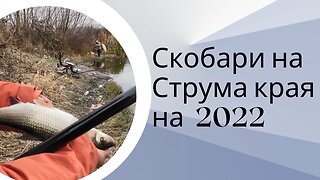 За Скобар по Струма в края на 2022 годинаа - Out for common nase at Struma