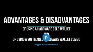 Advantages & Disadvantages of Using a Hardware Cold Wallet Plus Software Hardware Wallet Combo