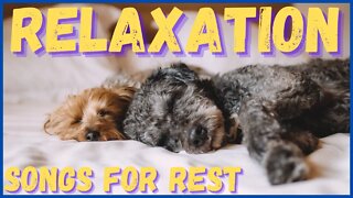 Relaxation in 1 minute! Sound of rest! Relax immediately, sleep, meditate, pray, study!