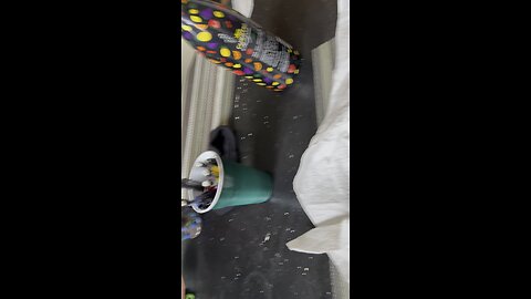 Watch my bong get Ollied over